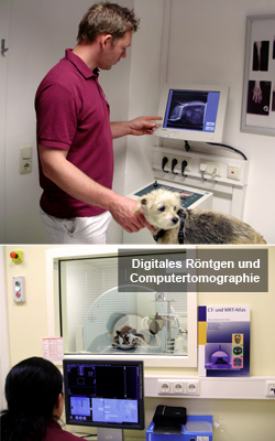 Digitales Röntgen und Computertomographie